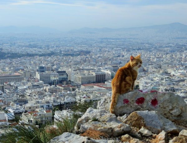 Was du dir in Athen nicht entgehen lassen solltest
