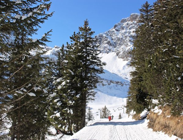 Winterwandern in Engelberg.