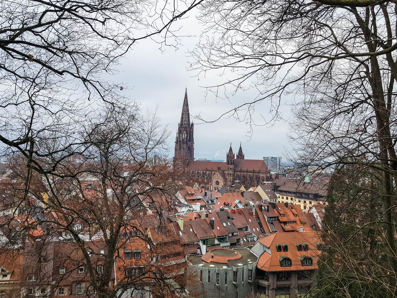 Weekendtrip: van Freiburg naar het Zwarte Woud