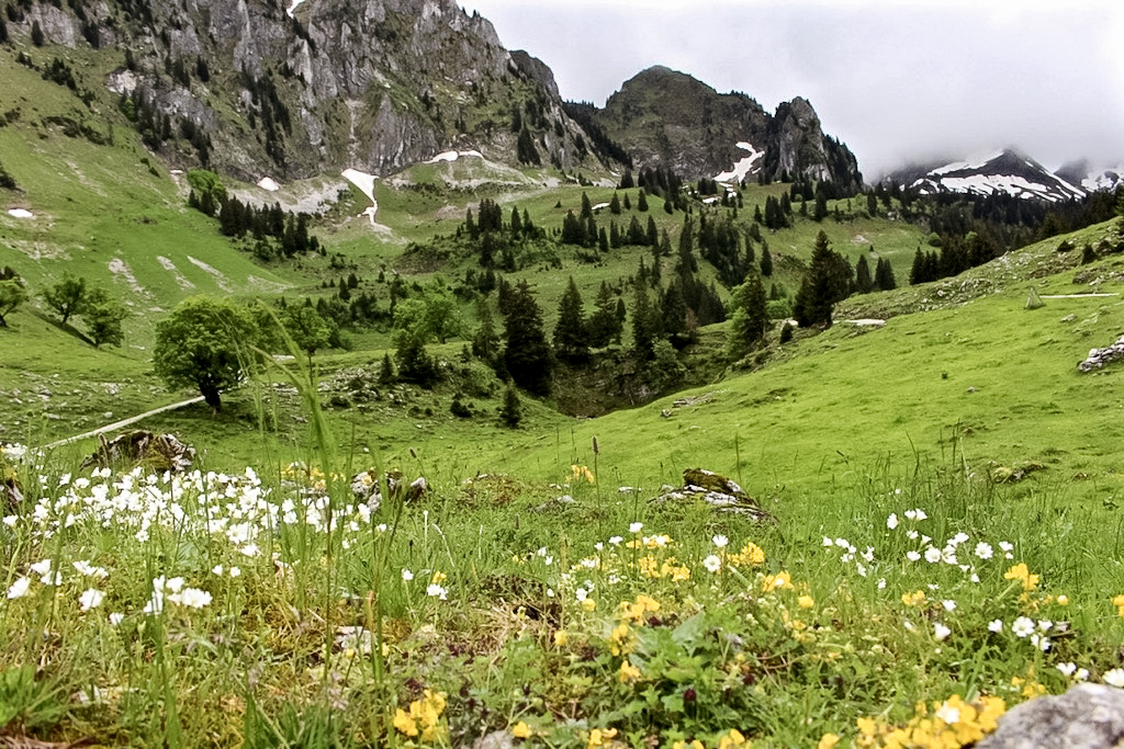Zeven gemakkelijke wandelingen in Zwitserland