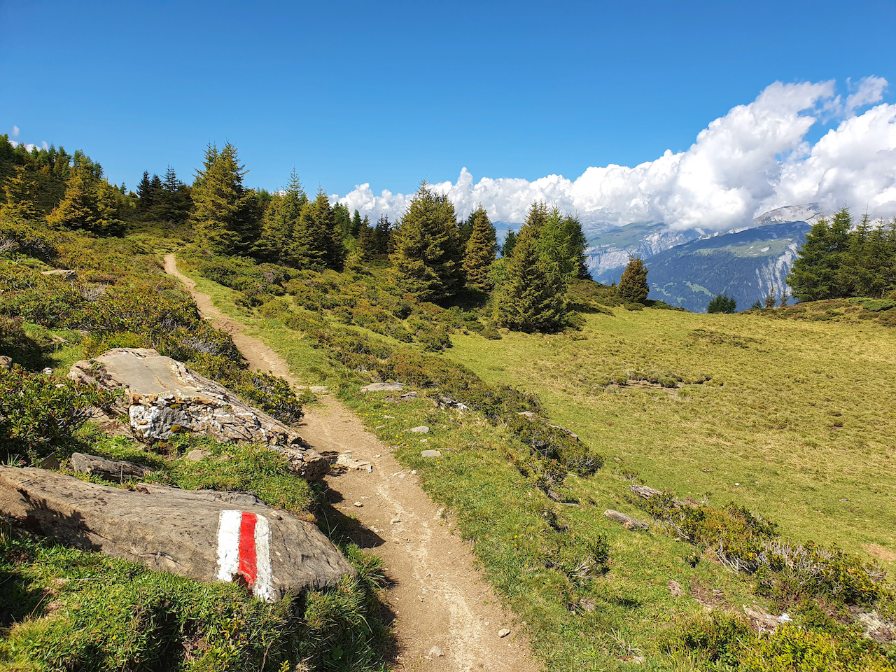 “Patschifig” onderweg van Chur naar Bergün