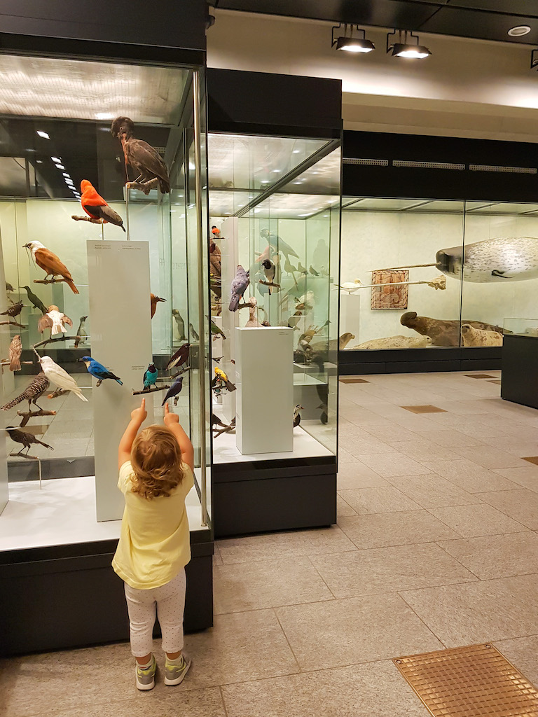 Zürich: Die besten Museen für Kinder